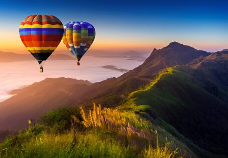 Wildlife Safari Adventure with Local Expert Guide